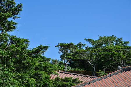 simsearch:400-07329792,k - Japanese traditional tiled roof at the island Okinawa Foto de stock - Super Valor sin royalties y Suscripción, Código: 400-07321855