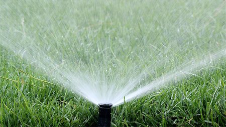 Automatic Garden Irrigation Spray watering lawn Stock Photo - Budget Royalty-Free & Subscription, Code: 400-07321913