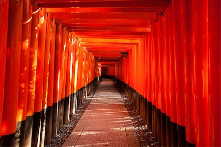 simsearch:400-07771861,k - A long walkway through a passage made of closely packed torii gates. Afternoon sun illuminates the gates with a bright, vibrant color reflecting from the red paint. Foto de stock - Super Valor sin royalties y Suscripción, Código: 400-07323055