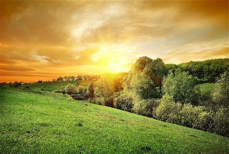 simsearch:400-06867510,k - Sunset over the forest on the hill Stock Photo - Budget Royalty-Free & Subscription, Code: 400-07323229