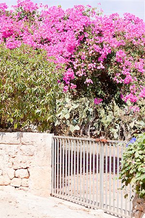 red flowers in stone images - mediterranean brick entrance garden with pink flowers in summer Stock Photo - Budget Royalty-Free & Subscription, Code: 400-07323764