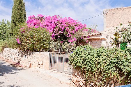 red flowers in stone images - mediterranean brick entrance garden with pink flowers in summer Stock Photo - Budget Royalty-Free & Subscription, Code: 400-07323763