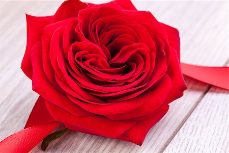 simsearch:689-03124881,k - Bouquet of beautiful fresh red roses with a coiled ribbon border isolated on white with plenty of copyspace for your loving anniversary or Valentines message Stock Photo - Budget Royalty-Free & Subscription, Code: 400-07323979