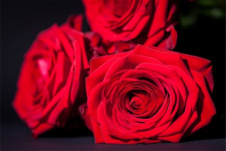 simsearch:689-03124881,k - beautiful red rose flower on black background macro detail card Stock Photo - Budget Royalty-Free & Subscription, Code: 400-07323970