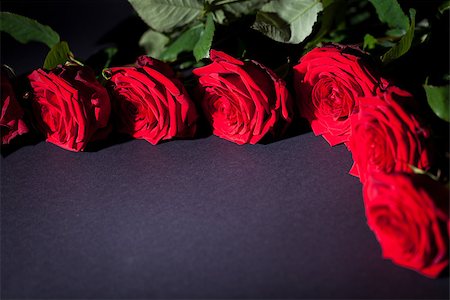 simsearch:689-03124881,k - beautiful red rose flower on black background macro detail card Foto de stock - Super Valor sin royalties y Suscripción, Código: 400-07323972