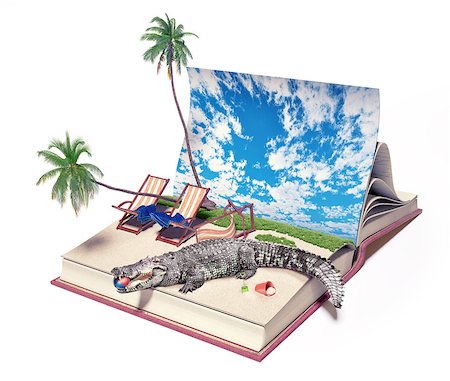 Crocodile on the beach page. creative literature concept Stock Photo - Budget Royalty-Free & Subscription, Code: 400-07334251