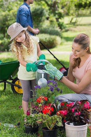 family watering lawn - Mother with daughter watering plants at the garden Stock Photo - Budget Royalty-Free & Subscription, Code: 400-07336952