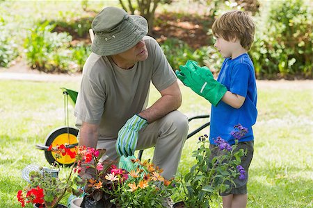 simsearch:400-05314669,k - View of a grandfather and grandson engaged in gardening Photographie de stock - Aubaine LD & Abonnement, Code: 400-07337028