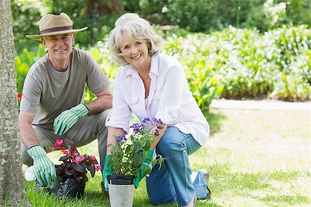 senior man gardener - Portrait of a smiling mature couple engaged in gardening Stock Photo - Budget Royalty-Free & Subscription, Code: 400-07337021