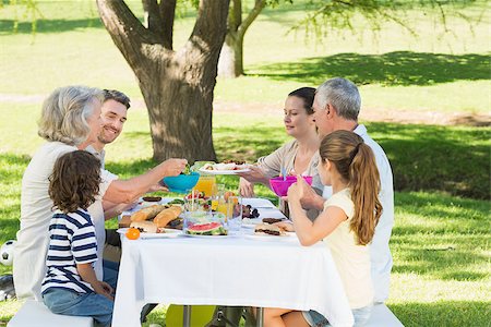 simsearch:400-07275176,k - Side view of an extended family having lunch in the lawn Stock Photo - Budget Royalty-Free & Subscription, Code: 400-07337149