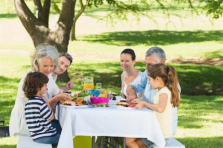 simsearch:400-07275176,k - Side view of an extended family having lunch in the lawn Stock Photo - Budget Royalty-Free & Subscription, Code: 400-07337150