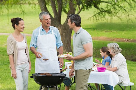 simsearch:649-07436856,k - View of an extended family with barbecue in the park Foto de stock - Royalty-Free Super Valor e Assinatura, Número: 400-07337165