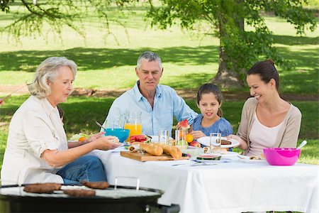 simsearch:400-04400433,k - View of grandparents mother and daughter having lunch in the lawn Stock Photo - Budget Royalty-Free & Subscription, Code: 400-07337160