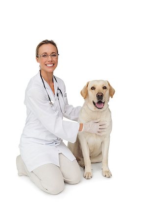 Happy vet petting yellow labrador dog smiling at camera on white background Foto de stock - Royalty-Free Super Valor e Assinatura, Número: 400-07337507