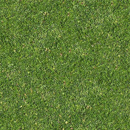 simsearch:400-07830872,k - Seamless Tileable Texture of Green Grass. Foto de stock - Royalty-Free Super Valor e Assinatura, Número: 400-07338697