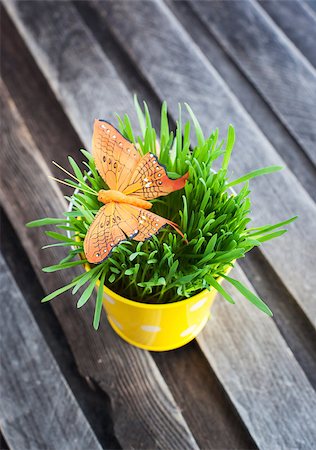 simsearch:400-04348779,k - Decorative orange butterfly on fresh green grass in a yellow bucket Stockbilder - Microstock & Abonnement, Bildnummer: 400-07338964