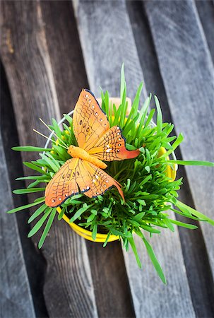 simsearch:400-04348779,k - Decorative orange butterfly on fresh green grass in a yellow bucket Fotografie stock - Microstock e Abbonamento, Codice: 400-07338965