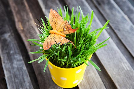 simsearch:400-04348779,k - Decorative orange butterfly on fresh green grass in a yellow bucket Fotografie stock - Microstock e Abbonamento, Codice: 400-07338963