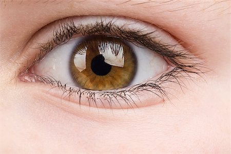 Beautiful young teenager health brown eye macro Stock Photo - Budget Royalty-Free & Subscription, Code: 400-07331950