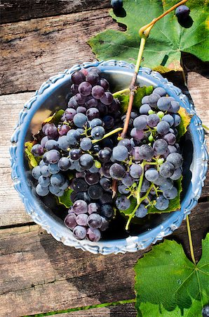 Dark grapes in the plate from above.Selective focus on the grapes Stockbilder - Microstock & Abonnement, Bildnummer: 400-07332368