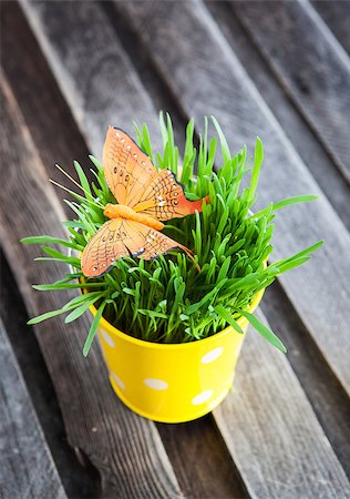 simsearch:400-04348779,k - Decorative orange butterfly on fresh green grass in a yellow bucket Stockbilder - Microstock & Abonnement, Bildnummer: 400-07348141