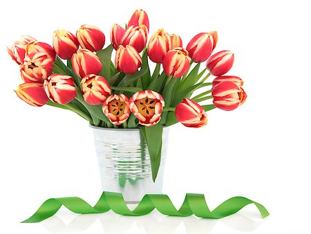 simsearch:400-06356460,k - Yellow and red tulip flower arrangement with ribbon curl over white background. Foto de stock - Super Valor sin royalties y Suscripción, Código: 400-07405511