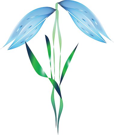 Vector illustration of blue bellflower on a white background, isolated Stock Photo - Budget Royalty-Free & Subscription, Code: 400-07405564