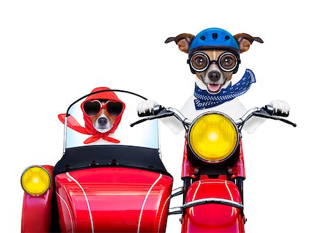 simsearch:400-07728896,k - motorbike dogs together in love having a hiloday trip Stock Photo - Budget Royalty-Free & Subscription, Code: 400-07405594