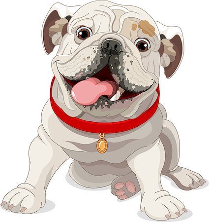 Illustration of English bulldog with red collar Stock Photo - Budget Royalty-Free & Subscription, Code: 400-07405653