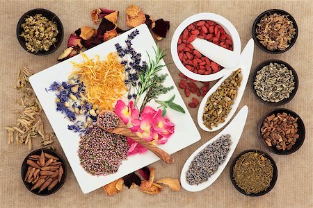 Herbal naturopathic medicine selection also used in pagan witches magical potions over old paper background. Stock Photo - Budget Royalty-Free & Subscription, Code: 400-07406153