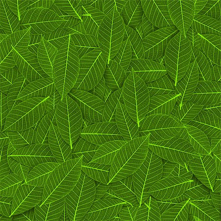 green transparent leaf pattern Stock Photo - Budget Royalty-Free & Subscription, Code: 400-07406415