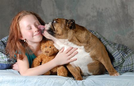 dog lick ã  girl - girl and her dog - pre teenage girl ready for cuddling with her dog - english bulldog Stock Photo - Budget Royalty-Free & Subscription, Code: 400-07406455