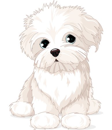 small cute dogs breeds - Clipart Maltese Puppy Dog Stock Photo - Budget Royalty-Free & Subscription, Code: 400-07409576