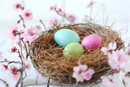 Spring Easter Holiday Themed Still Life Scene in Natural Light Fotografie stock - Microstock e Abbonamento, Codice: 400-07414184