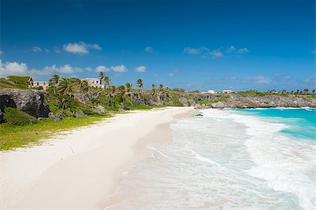 simsearch:400-07410943,k - Harrismith Beach is one of the most beautiful beaches on the Caribbean island of Barbados. It is a tropical paradise with palms hanging over turquoise sea and a ruin of an old mansion on the cliff Foto de stock - Super Valor sin royalties y Suscripción, Código: 400-07414347