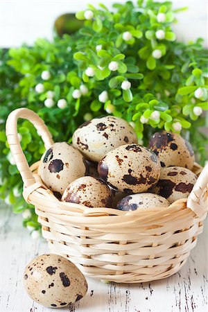 quail - Easter quail eggs in a basket. Stock Photo - Budget Royalty-Free & Subscription, Code: 400-07414823