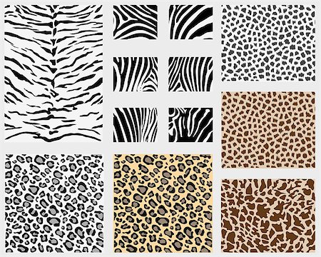 Illustration of detailed different animal skins, vector Stock Photo - Budget Royalty-Free & Subscription, Code: 400-07415043