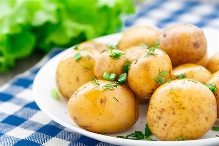 simsearch:400-07479107,k - Potato with dill and scalliom on a plate Stock Photo - Budget Royalty-Free & Subscription, Code: 400-07416412