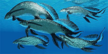 simsearch:400-04697365,k - Scaumenacia is an extinct genus of prehistoric lobe-finned fish from the Devonian period. Foto de stock - Super Valor sin royalties y Suscripción, Código: 400-07416550