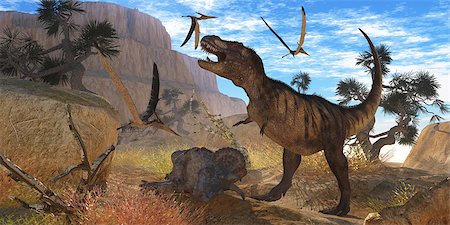 A Tyrannosaurus Rex dinosaur tries to eat his Triceratops kill when Pteranodons harass him. Stockbilder - Microstock & Abonnement, Bildnummer: 400-07416566