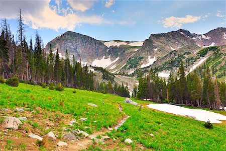 high altitude alpine tundra in Colorado during summer Stockbilder - Microstock & Abonnement, Bildnummer: 400-07416678