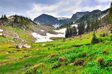 high altitude alpine tundra in Colorado during summer Stockbilder - Microstock & Abonnement, Bildnummer: 400-07416679