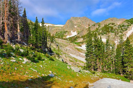 high altitude alpine tundra in Colorado during summer Stockbilder - Microstock & Abonnement, Bildnummer: 400-07416685