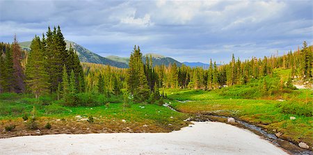 high altitude alpine tundra in Colorado during summer Stock Photo - Budget Royalty-Free & Subscription, Code: 400-07416680