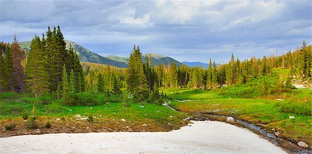 high altitude alpine tundra in Colorado during summer Stockbilder - Microstock & Abonnement, Bildnummer: 400-07416680