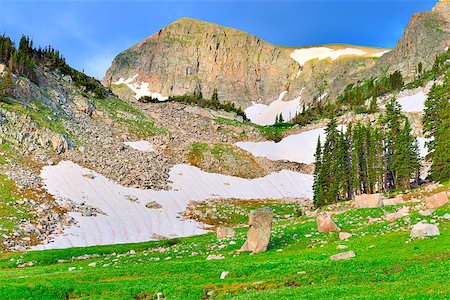 high altitude alpine tundra in Colorado during summer Stockbilder - Microstock & Abonnement, Bildnummer: 400-07416682