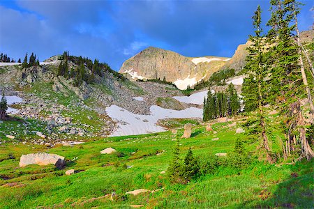 high altitude alpine tundra in Colorado during summer Stockbilder - Microstock & Abonnement, Bildnummer: 400-07416683