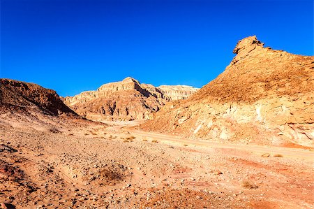 Desert landscape at Timna National Park in Israel Foto de stock - Super Valor sin royalties y Suscripción, Código: 400-07416886