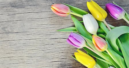 natural tulips on rustic wooden board, easter decoration Foto de stock - Super Valor sin royalties y Suscripción, Código: 400-07417336