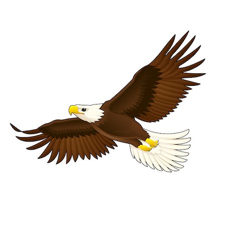 American eagle. Vector isolated animal. Stock Photo - Budget Royalty-Free & Subscription, Code: 400-07418181